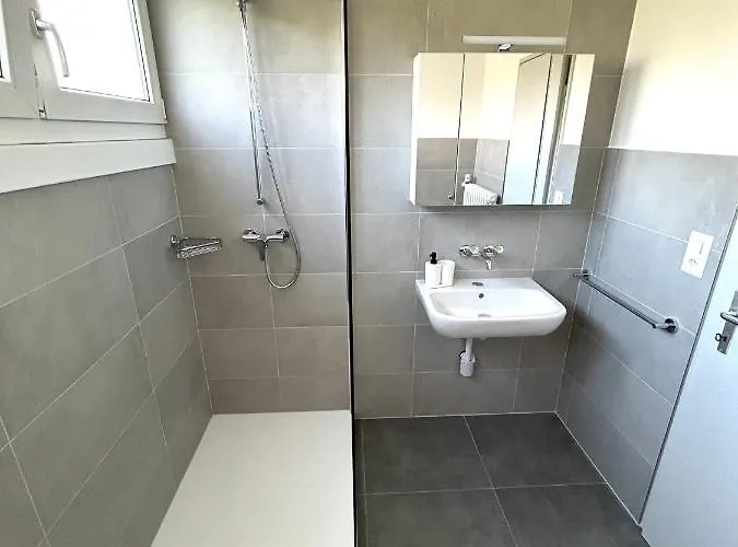 & Renovated - Near Train Station & Center Lugano